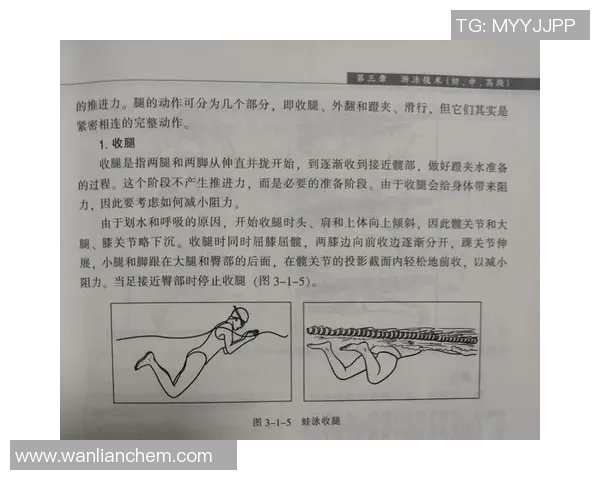 蛙泳技术提升全攻略：从基础动作到高效训练的全面解析