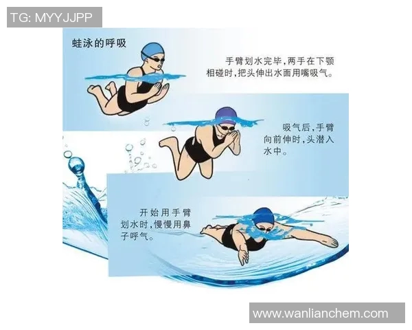 初学者蛙泳技巧入门指南及常见问题解析